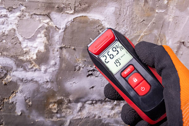 Best Mold Remediation  in West Concord, MA