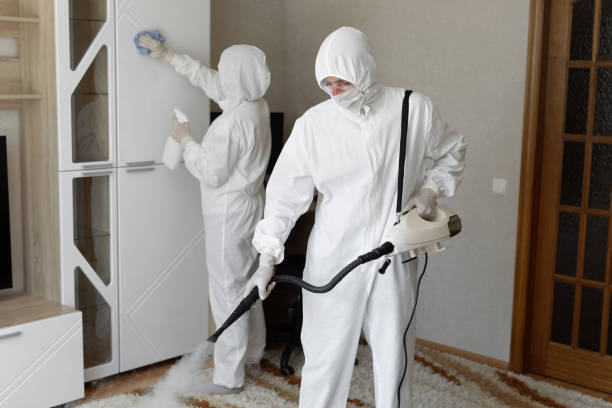 Best Professional Mold Removal  in West Concord, MA