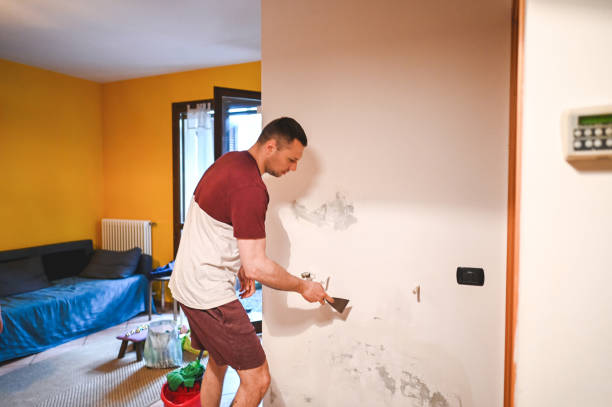 Best Mold Removal Company Near Me  in West Concord, MA